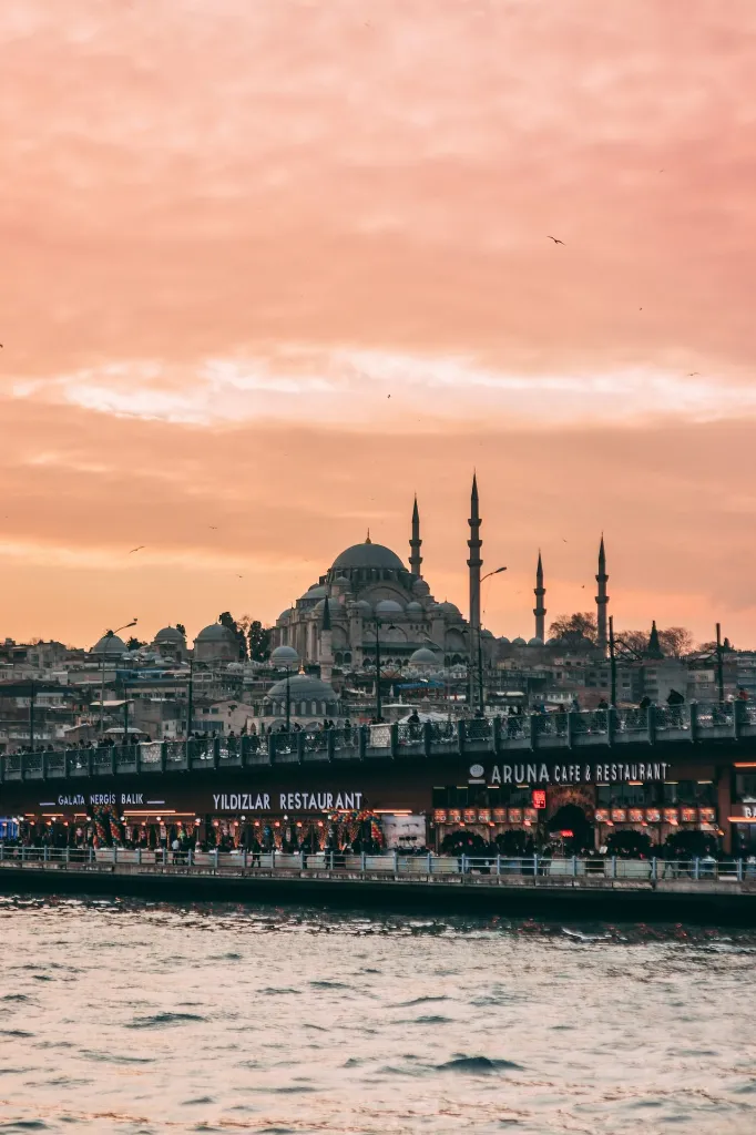 unsplash_vv5qijsMPys_turky.webp.jpg
