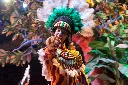 unsplash_X1OK9of41Ho_carnival.webp