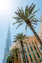 unsplash_MYft5prK1D4_DUBAI.jpg.jpg.jpg.jpg.jpg.webp