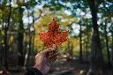 unsplash_EIWCd0414xQ_canada.jpg.webp